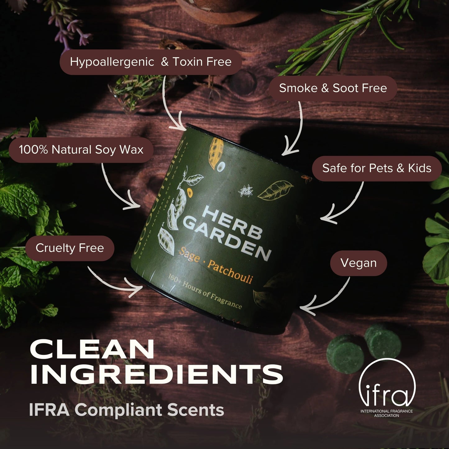 Aura Wax Melting Starter Kit